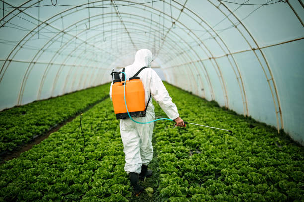 Best Best Pest Control Companies  in Rock Hill, SC