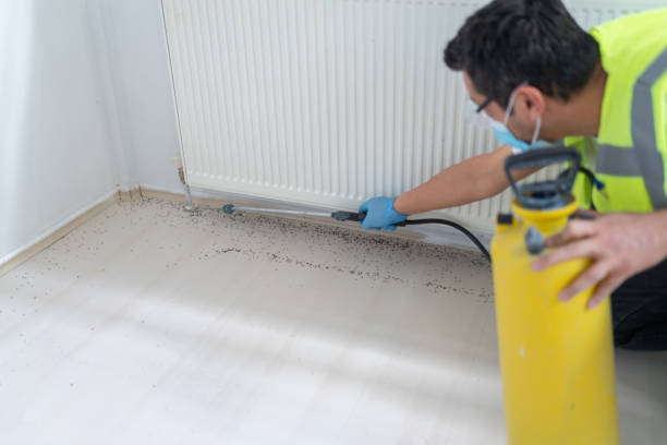 Best Affordable Pest Control Services  in Rock Hill, SC