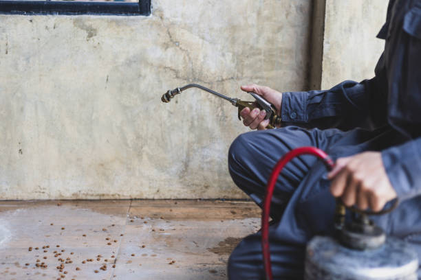 Best Local Pest Control Services  in Rock Hill, SC