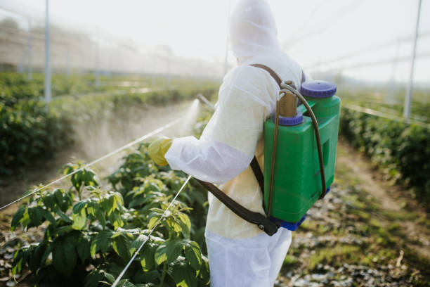 Best Pest Inspection Near Me  in Rock Hill, SC